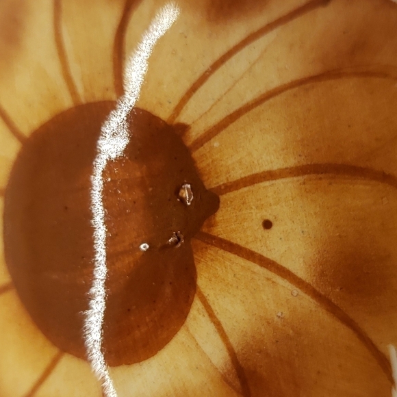 ceramiean Lahuerta Spain Handmade Vase Off-white with Brown Floral pattern - Picture 7 of 9